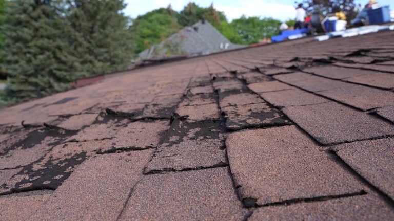 Best Roof Coating and Sealing  in Farragut, TN