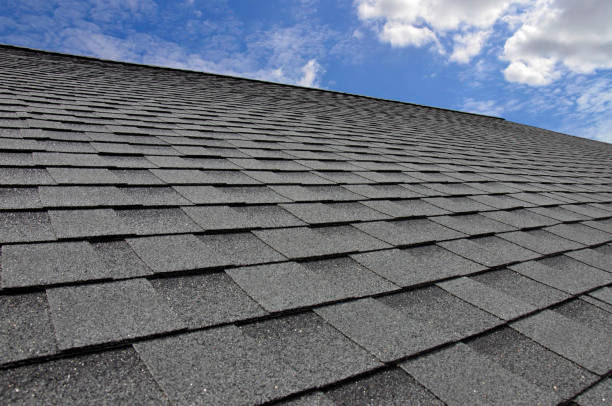 Best Roof Moss and Algae Removal  in Farragut, TN
